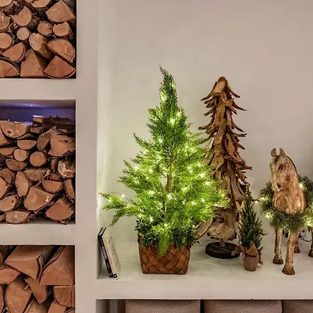 Kaunis Perhetalo, Jossa Mukavuus, Rauha Ja Unelmien Loma Kohtaavat Ferienhaus